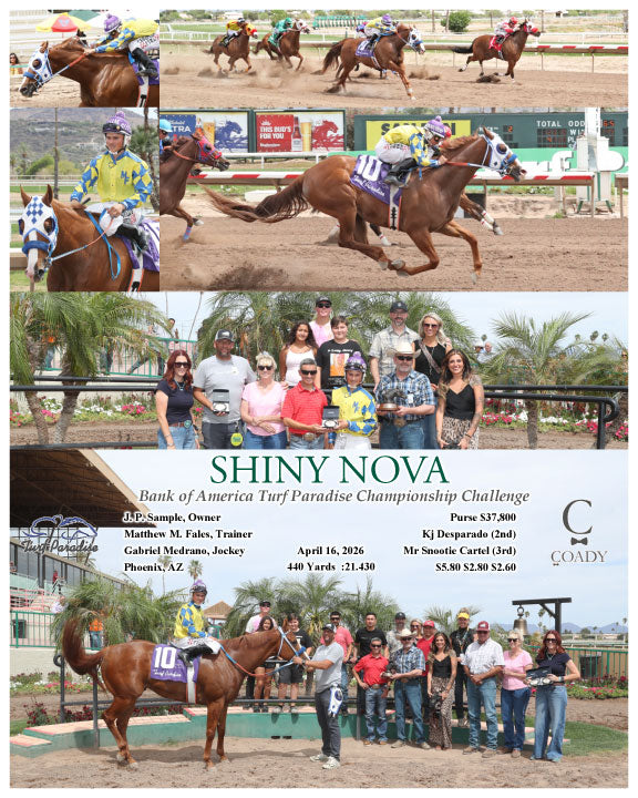SHINY NOVA - Bank of America Turf Paradise Championship Challenge - 04-16-26 - R02 - TUP - Coady Media - Kurtis Coady Photography