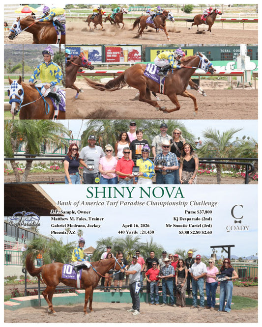 SHINY NOVA - Bank of America Turf Paradise Championship Challenge - 04-16-26 - R02 - TUP - Coady Media - Kurtis Coady Photography