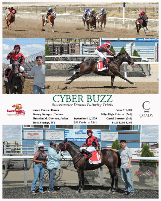CYBER BUZZ  - Sweetwater Downs Futurity Trials - 09-11-26 - R02 - SWF