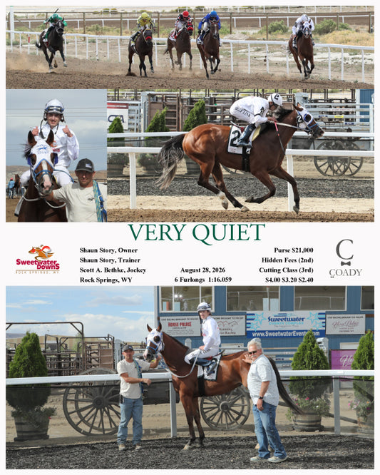 VERY QUIET - 08-28-26 - R02 - SWF