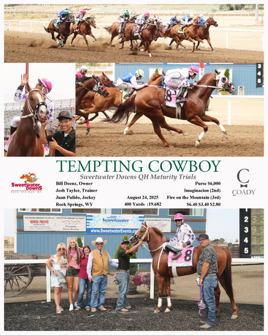 TEMPTING COWBOY - Sweetwater Downs QH Maturity Trials - 08-24-25 - R02 - SWF