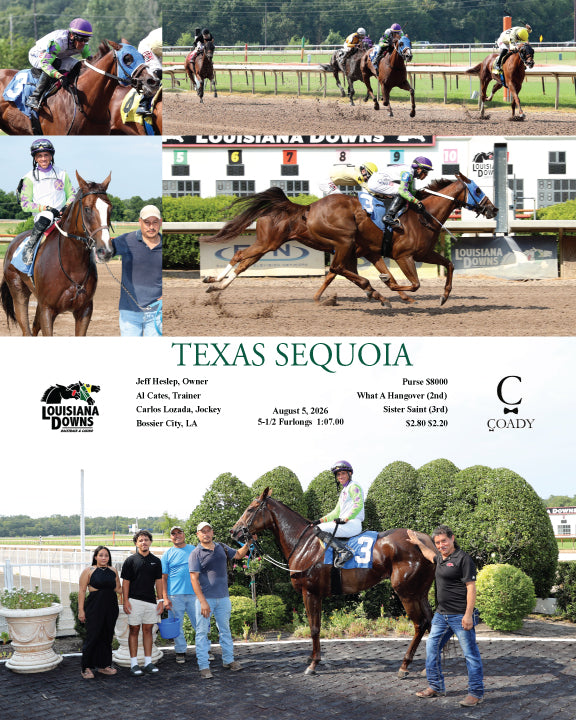 TEXAS SEQUOIA - 08-05-26 - R02 - LAD
