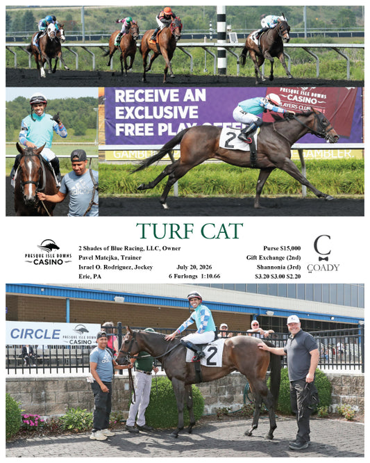 TURF CAT - 07-20-26 - R02 - PID