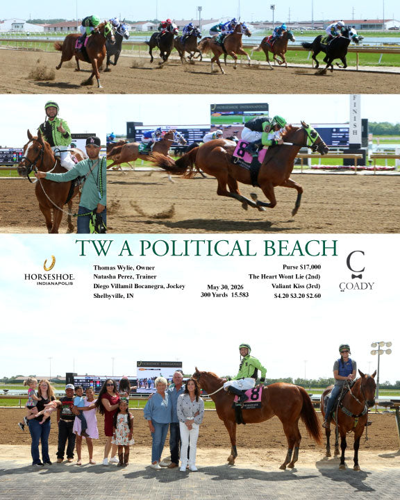 TW A POLITICAL BEACH - 05-30-26 - R02 - IND