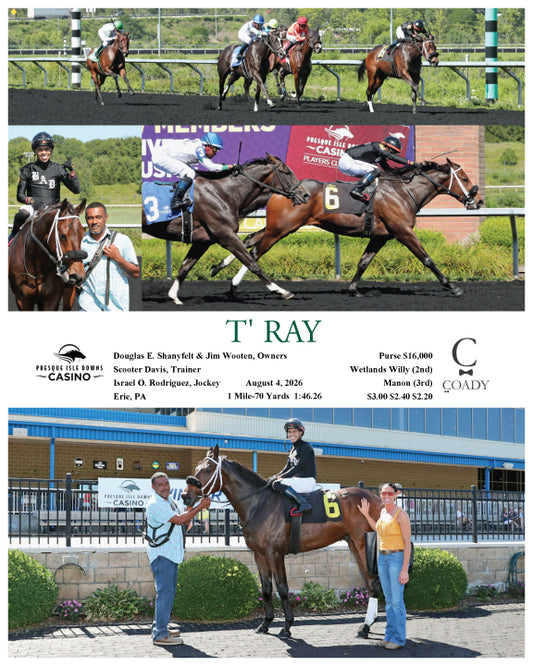 T' RAY - 08-04-26 - R02 - PID