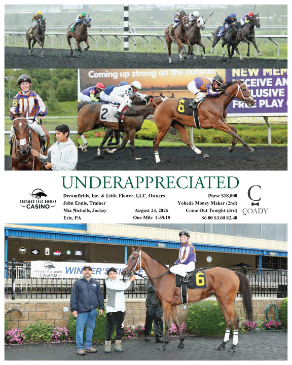 UNDERAPPRECIATED - 08-24-26 - R02 - PID