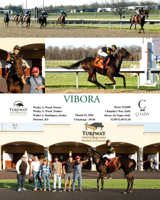 VIBORA - 03-26-26 - R02 - TP - Coady Media - Kurtis Coady Photography
