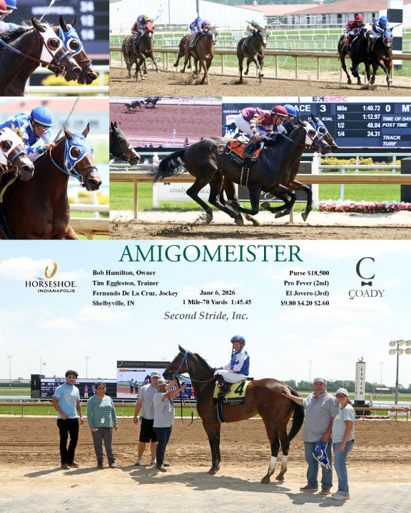 AMIGOMEISTER - 06-06-26 - R03 - IND