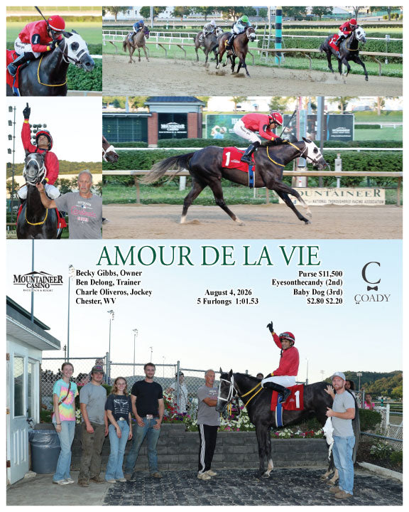 AMOUR DE LA VIE - 08-04-26 - R03 - MNR