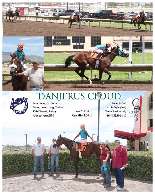 DANJERUS CLOUD - 06-07-26 - R03 - RUI