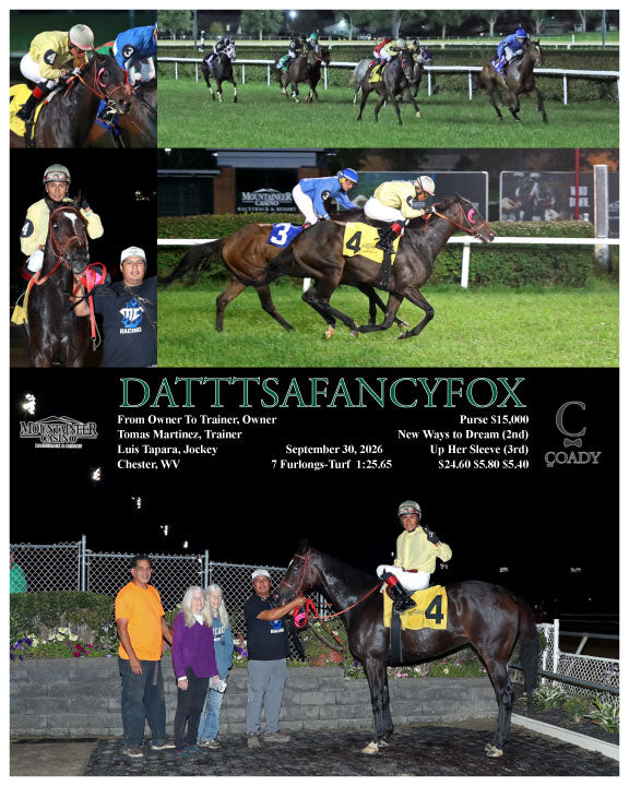 DATTTSAFANCYFOX - 09-30-26 - R03 - MNR