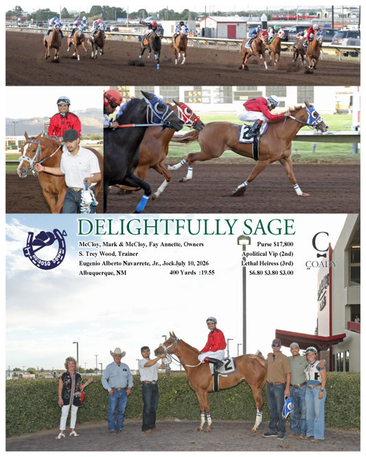 DELIGHTFULLY SAGE - 07-10-26 - R03 - RUI