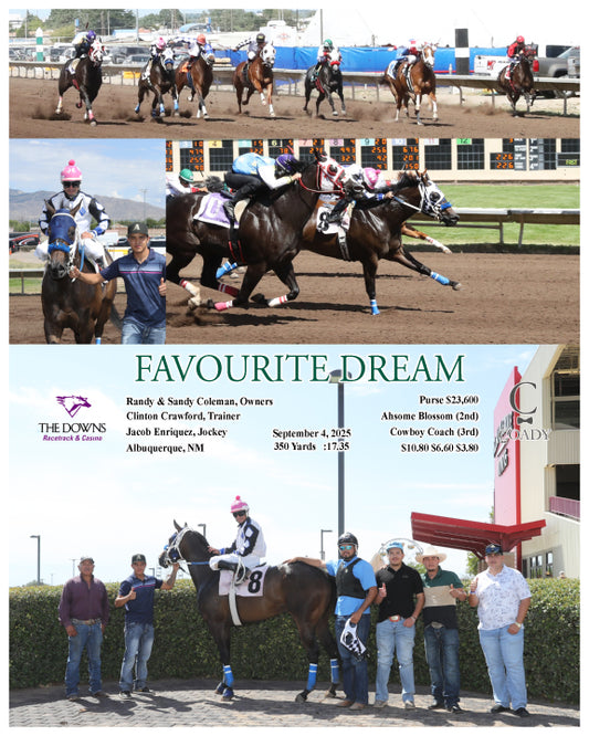 FAVOURITE DREAM - 09-04-25 - R03 - ALB - Coady Media - Kurtis Coady Photography