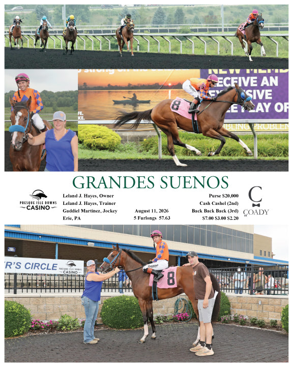 GRANDES SUENOS - 08-11-26 - R03 - PID