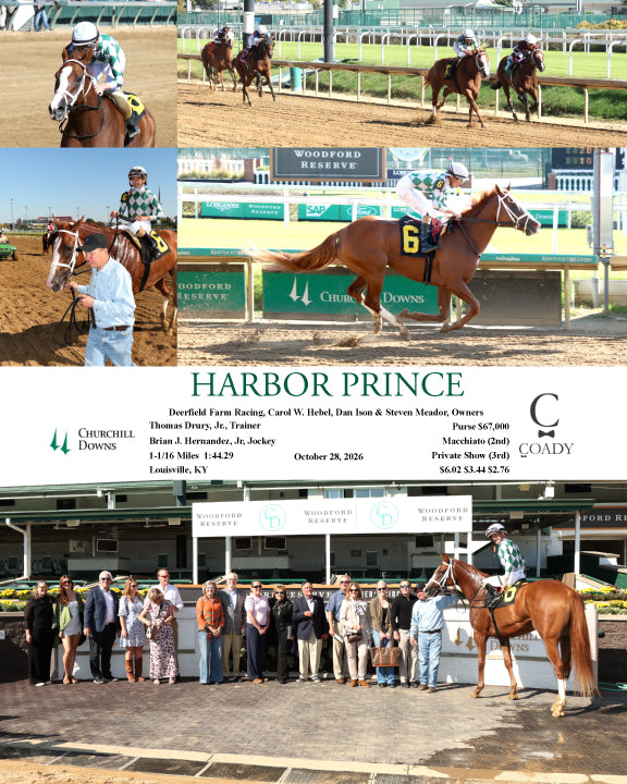 HARBOR PRINCE - 10-28-26 - R03 - CD - Coady Media - Kurtis Coady Photography