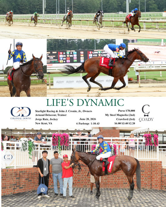 LIFE'S DYNAMIC - 06-28-26 - R03 - CNL