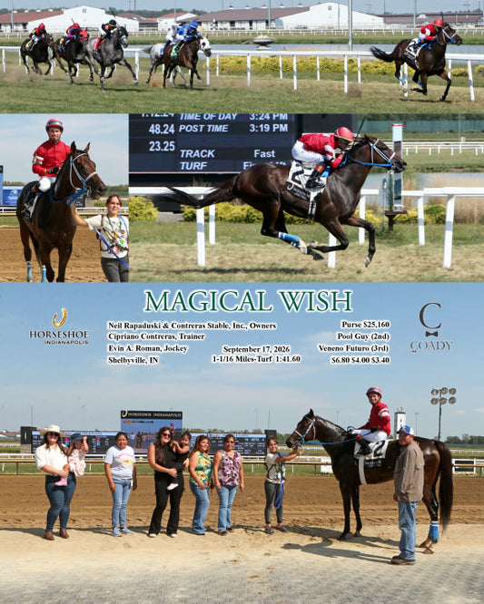 MAGICAL WISH - 09-17-26 - R03 - IND