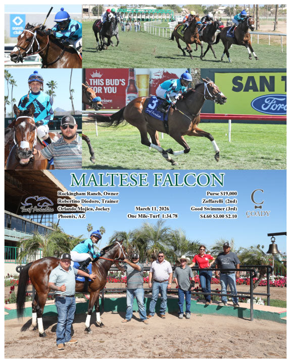 MALTESE FALCON - 03-11-26 - R03 - TUP - Coady Media - Kurtis Coady Photography