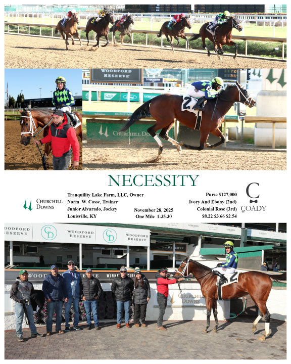 NECESSITY - 11-28-25 - R03 - CD