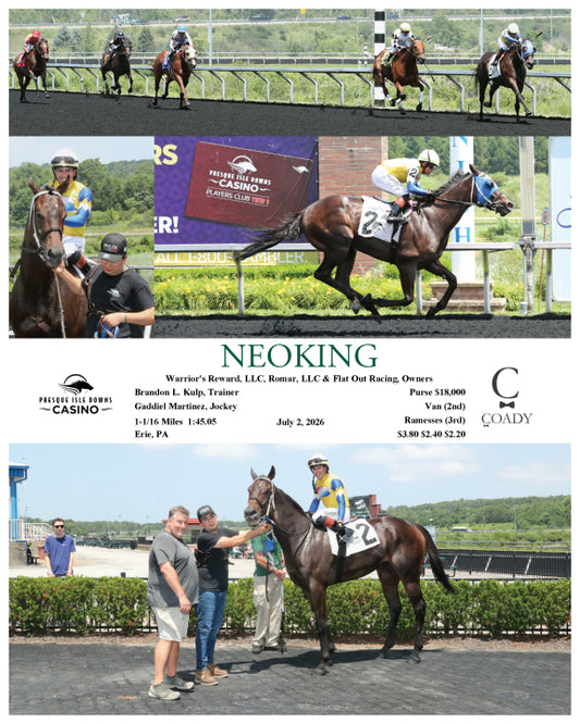 NEOKING - 07-02-26 - R03 - PID