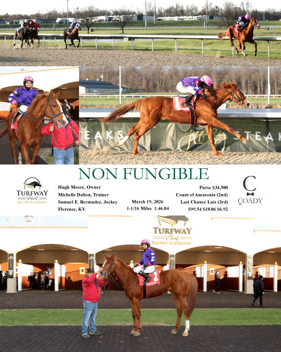 NON FUNGIBLE - 031926 - Race 03 - TP - Coady Media - Kurtis Coady Photography