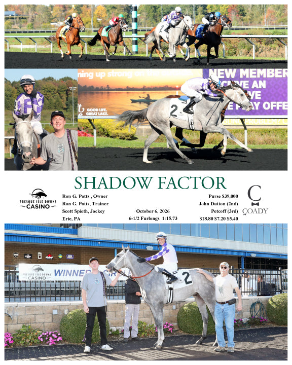 SHADOW FACTOR - 10-06-26 - R03 - PID