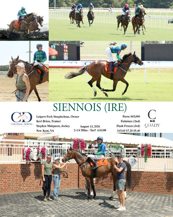 SIENNOIS (IRE) - 08-13-26 - R03 - CNL