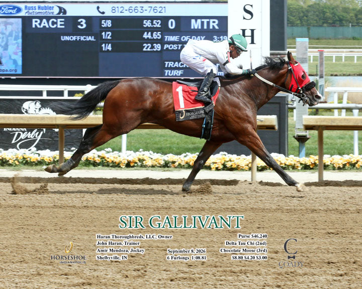 SIR GALLIVANT - 09-08-26 - R03 - IND - Action