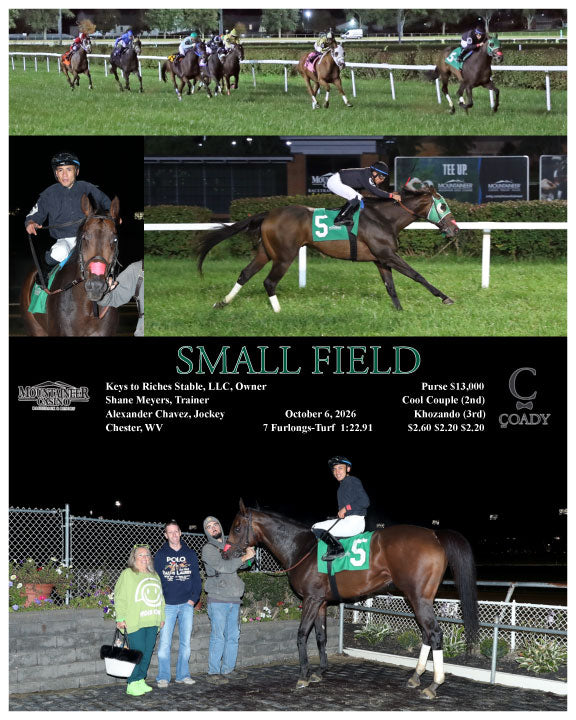 SMALL FIELD - 10-06-26 - R03 - MNR