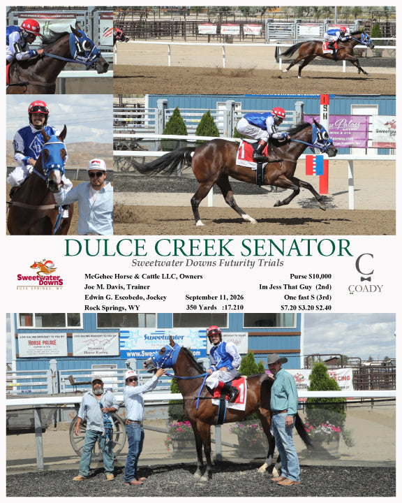 DULCE CREEK SENATOR  - Sweetwater Downs Futurity Trials - 09-11-26 - R03 - SWF