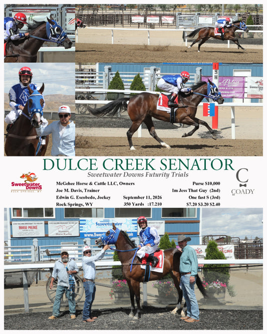 DULCE CREEK SENATOR  - Sweetwater Downs Futurity Trials - 09-11-26 - R03 - SWF