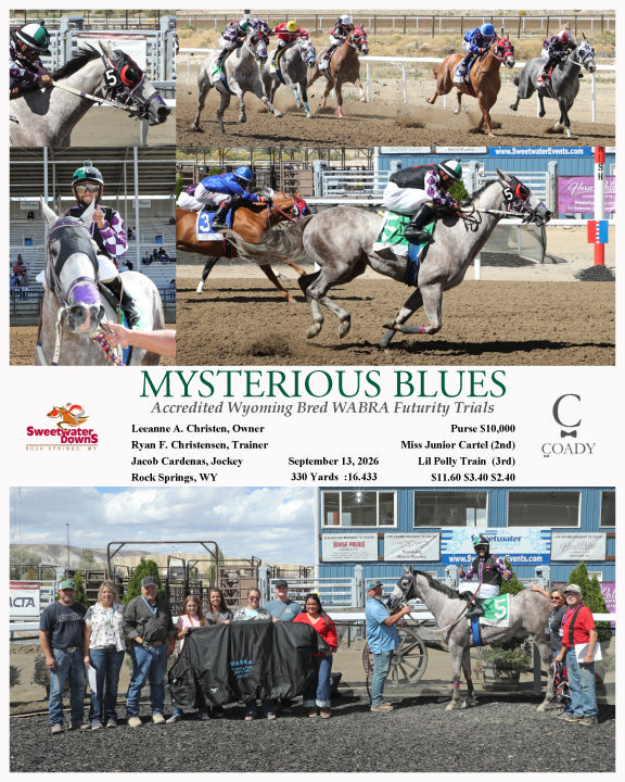 MYSTERIOUS BLUES  - Accredited Wyoming Bred WABRA Futurity Trials - 09-13-26 - R03 - SWF