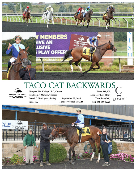 TACO CAT BACKWARDS - 09-28-26 - R03 - PID