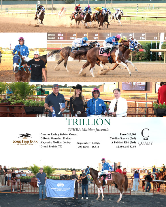 TRILLION - TPHBA Maiden Juvenile - 09-11-26 - R03 - LSP