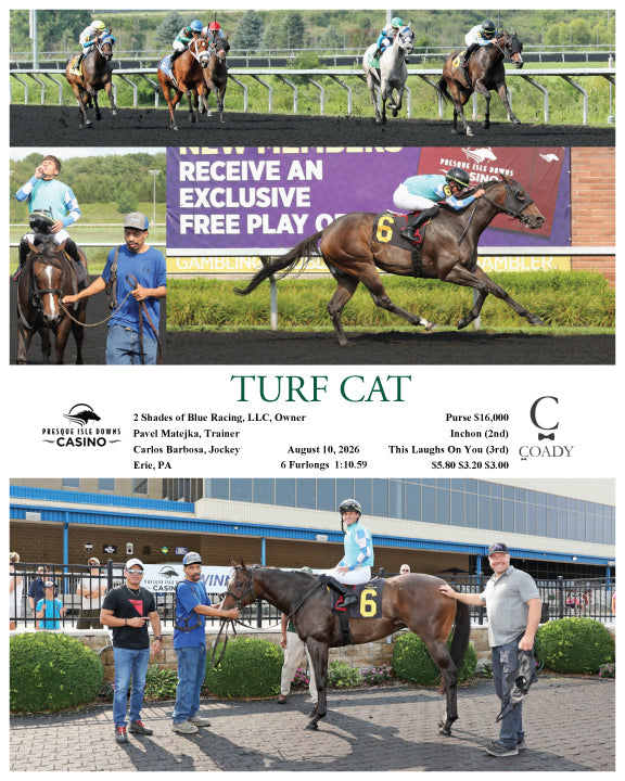 TURF CAT - 08-10-26 - R03 - PID