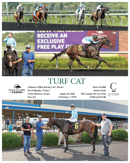 TURF CAT - 08-10-26 - R03 - PID