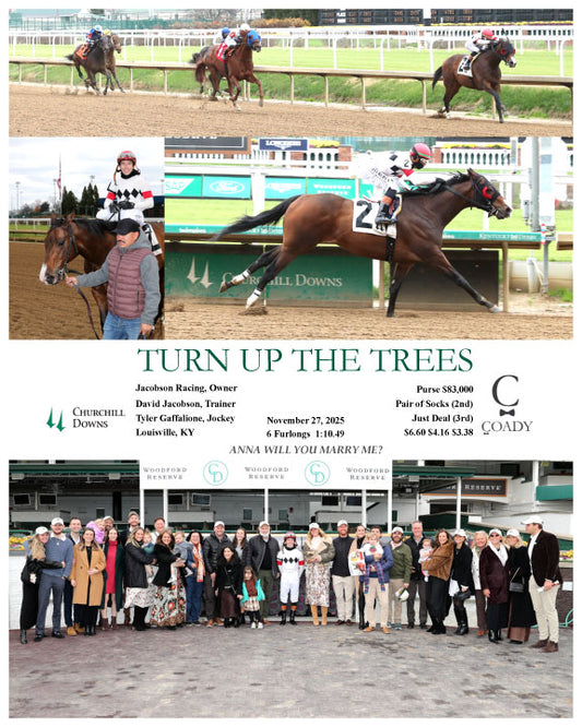 TURN UP THE TREES - 11-27-25 - R03 - CD - Group