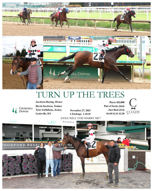 TURN UP THE TREES - 11-27-25 - R03 - CD