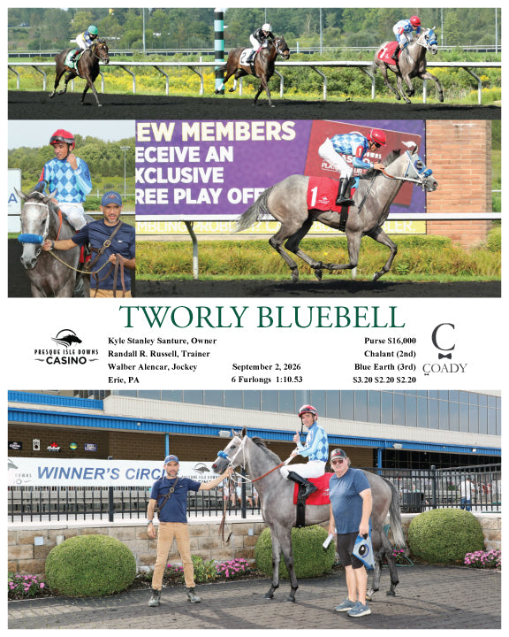 TWORLY BLUEBELL - 09-02-26 - R03 - PID