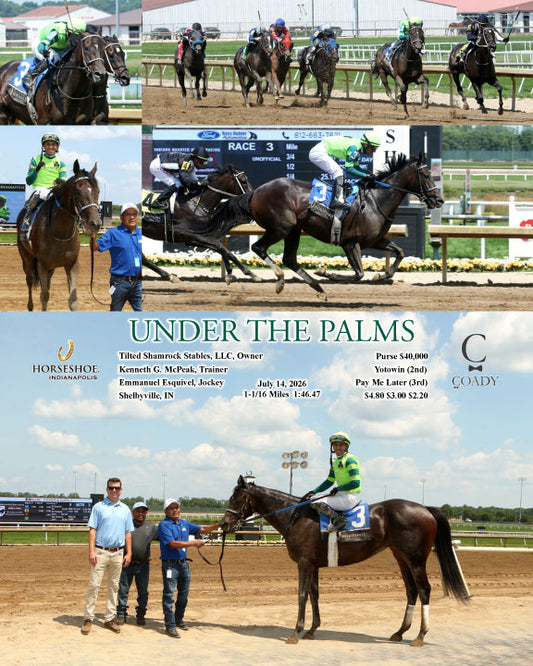 UNDER THE PALMS - 07-14-26 - R03 - IND