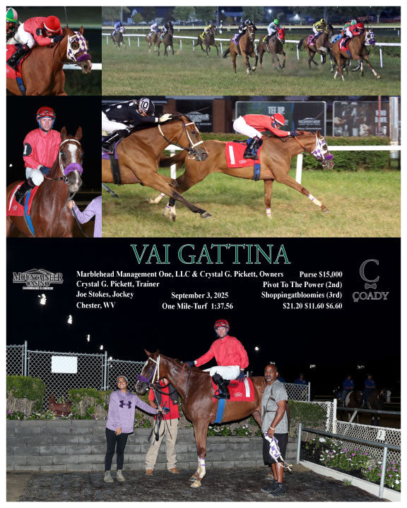 VAI GATTINA - 09-03-25 - R03 - MNR - Coady Media - Kurtis Coady Photography