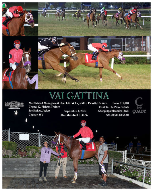 VAI GATTINA - 09-03-25 - R03 - MNR - Coady Media - Kurtis Coady Photography
