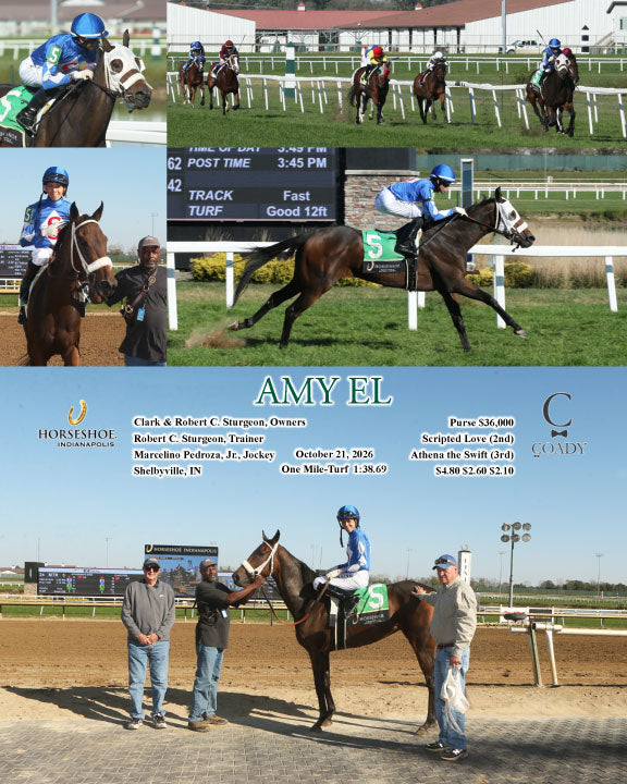 AMY EL - 10-21-26 - R04 - IND