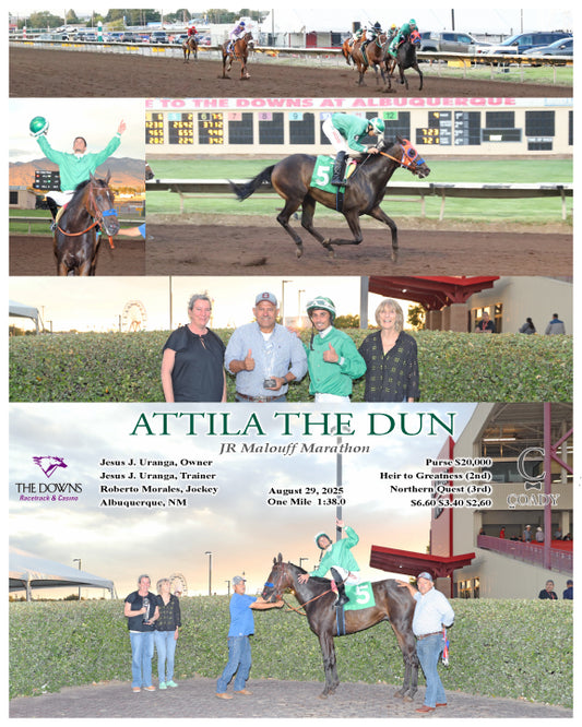 ATTILA THE DUN - 082925 - Race 04 - ALB  JR Malouff Marathon  Jesus J. Uranga, Owner  Jesus J. Uranga, Trainer  Roberto Morales, Jockey  $6.60 $3.40 $2,60  One Mile  Purse $20,000 - Coady Media - Kurtis Coady Photography