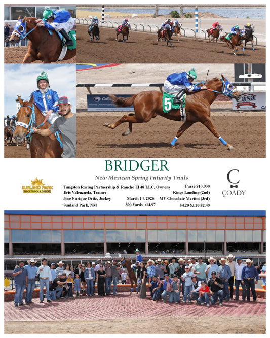 BRIDGER - New Mexican Spring Futurity Trials - 03-14-26 - R04 - SUN - Coady Media - Kurtis Coady Photography
