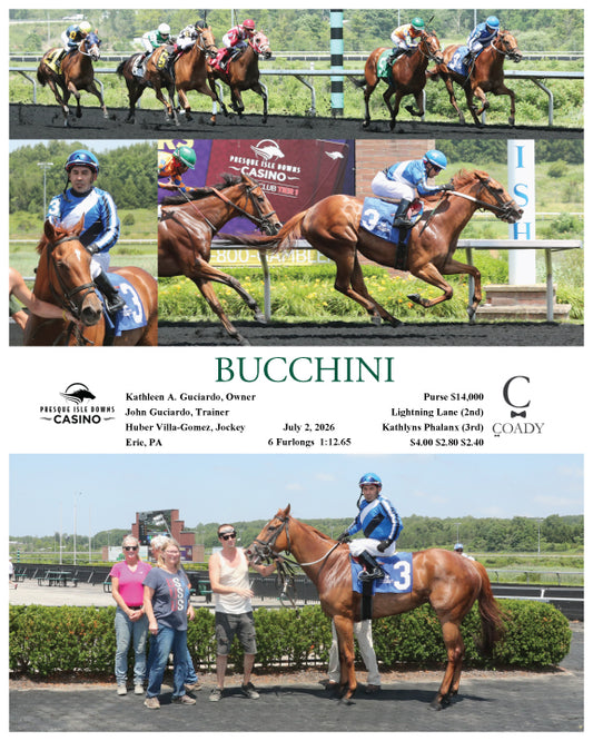 BUCCHINI - 07-02-26 - R04 - PID