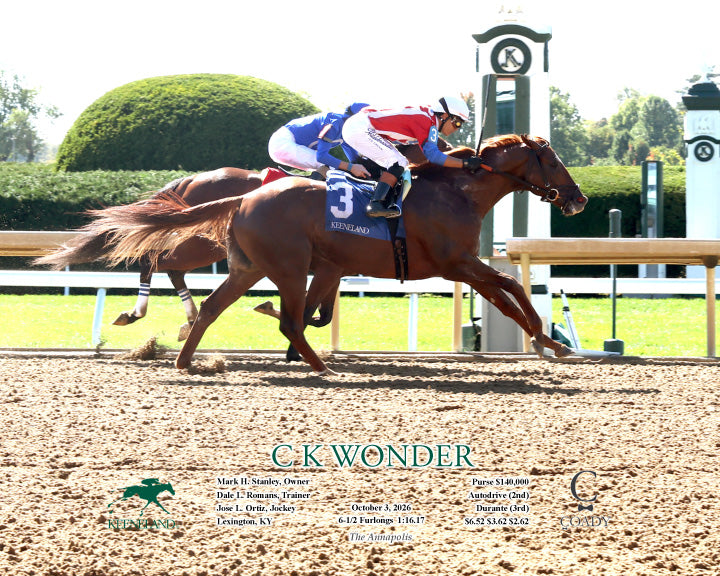 C K WONDER - 100326 - Race 04 - KEE - Action