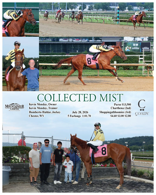 COLLECTED MIST - 07-28-26 - R04 - MNR