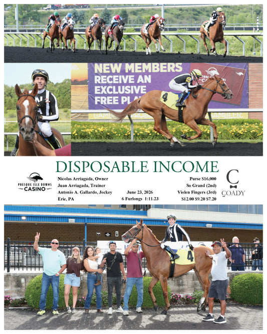 DISPOSABLE INCOME - 06-23-26 - R04 - PID