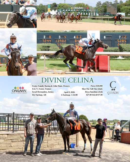 DIVINE CELINA - 04-09-26 - R04 - OP - Coady Media - Kurtis Coady Photography